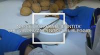 A come Alpi_ Nasce una "carta di identità" che valorizza la noce del Bleggio 