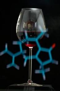 A come alpi_ punto Bio e ricerca sul metaboloma dei vini italiani