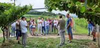 A come Alpi_ Vendemmia, qualità uve e focus Bio