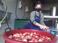 A come Alpi_A lezione: produciamo il succo di mela !