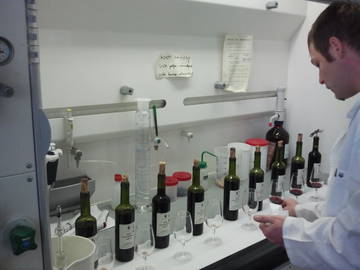 Conservazione del vino, la ricerca 