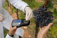 Martedì 10 dicembre 12^ Giornata tecnica della vite e del vino