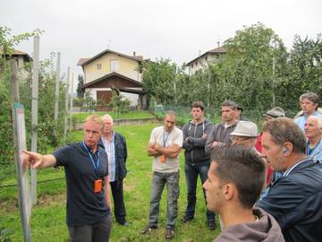 Portinnesti e sperimentazione 