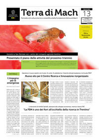 Terra di Mach n.13 e speciale flavescenza dorata 