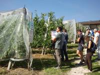 Trasferimento tecnologico sotto la lente
