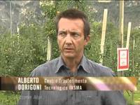 A come Alpi - 18/2011