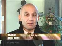 A come Alpi - 29/2011