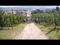 Porte aperte a Maso Maiano - FEM informa 8/9/12