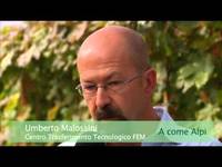 Selezione di un vitigno autoctono - FEM informa 22/9/12