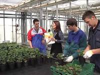 A lezione di ortofloricoltura - FEM informa 27/4/13