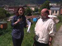 Api, sentinelle dell'ambiente - FEM informa 25/5/13