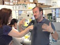 Biologia computazionale sotto la lente/ Alla scoperta della microbiota - FEM informa 13/7/13