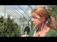 Fragola e Piccoli Frutti: coltivazioni e nuove varietà - FEM informa 5/10/13