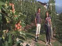 Il frutteto sostenibile - FEM informa 7/9/13