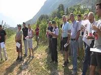 Porte Aperte a Maso Spagolle - FEM informa 27/7/13