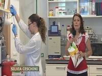 Ricerca Mach, premiata l'eccellenza - FEM informa 21/9/13