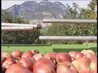 Sicurezza in campagna - FEM informa 8/6/13