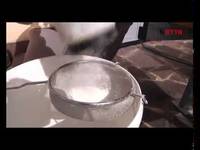 Api, lotta alla Varroa - Fondazione Mach informa 27/09/2014