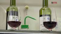 Conservazione del Vino, La ricerca - FEM informa 07/06/14