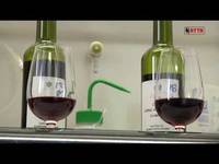 Conservazione del Vino, La ricerca - FEM informa 07/06/14