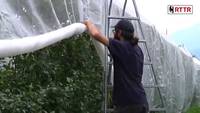 Il frutteto sostenibile - FEM informa 14/06/14
