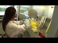 La ricerca contro le specie aliene invasive - FEM informa 17/05/14