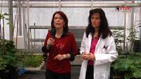 Salute e fertilità del suolo - FEM informa 05/07/14