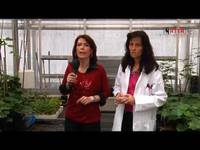 Salute e fertilità del suolo - FEM informa 05/07/14