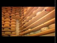 Il profumo del formaggio - FEM informa del 21/06/2015