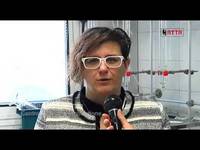 L'AUTENTICITA' DEGLI ALIMENTI - FEM informa del 5/12/2015