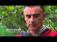 LA FRUTTA CONTRO L’ALZHEIMER - FEM informa del 10/10/2015