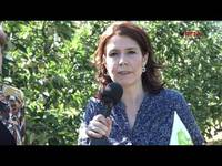 Cimice asiatica marmorata, al via monitoraggio e ricerca - FEM informa del 16/7/2016
