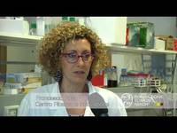 Alimenti e salute_ il punto "Agrismart": App FEM Dati Meteo - Fondazione Mach informa del 10/06/2017