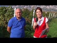 A come Alpi 2018 puntata 17 - VITE, IN VETRINA NUOVE SELEZIONI