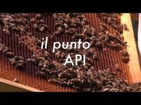 A come Alpi 2018 puntata 2 - Il punto API