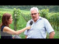 A come Alpi 2019 Puntata 10 - Vendemmia, qualità uve e focus Bio