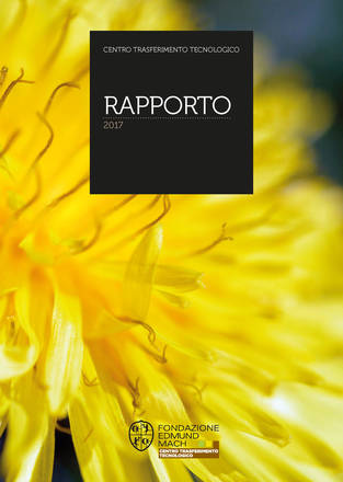 Rapporto 2017
