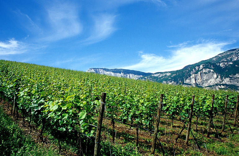 San Michele all'Adige