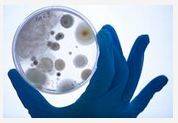 N. 1 (one) permanent position as Third level Technologists in microbiological biotechnology (176_CRI_SBM) - deadline July 3rd, 2015