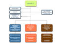 Organigramma