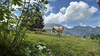 alpeggio val d'aosta