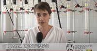 bontempo