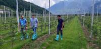 colpo di fuoco - MonitoraggioTecnici FEM -2