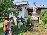 corso verde_ aiuole Comune san Michele 2