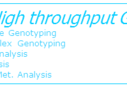 Middle-High throughput Genotyping_etichetta