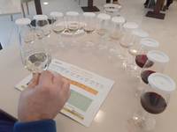 degustazione varieta tolleranti FEM -3
