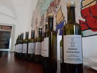degustazione varieta tolleranti FEM -5