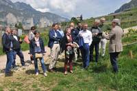 delegazione Bordeaux - visita campi FEM