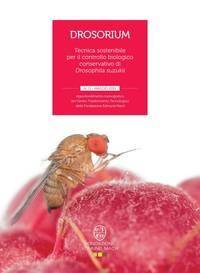 Drosorium_medium