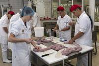 FEM lavorazione carne - ALI
